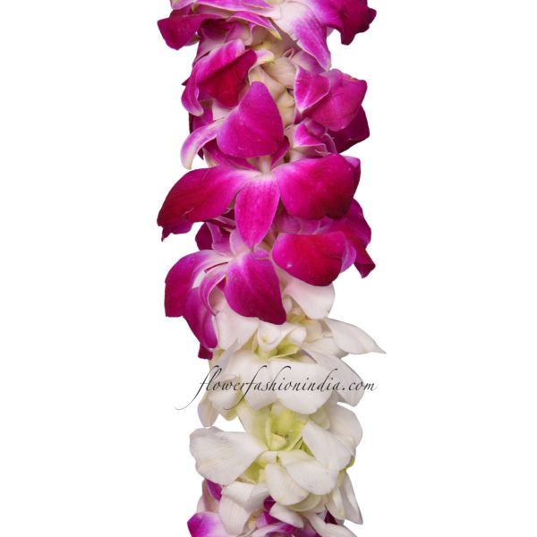 White & Purple Orchid Garland With Pink Rose Petals Specification